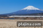img 79409 15