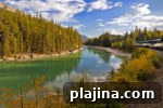 img 79409 16