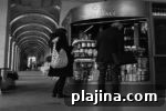 img 79573 11