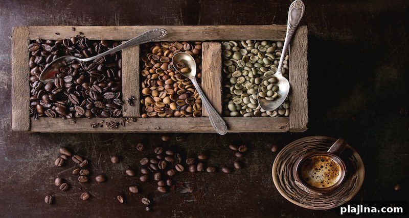 Kenya Coffee