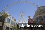 img 80008 13