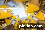 img 80447 15