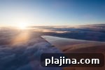 img 81373 9