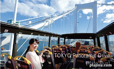 Explore Japan's Hidden Gems: Offbeat Places Locals Love 3 Tokyo