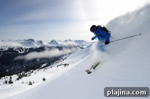 Hilton Whistler