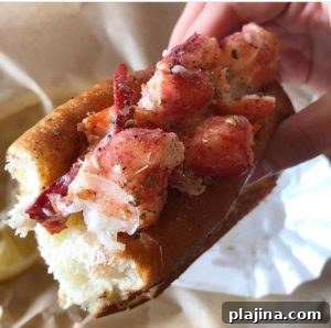 Bite San Diego
