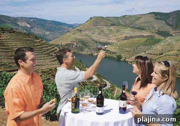 Sandeman Winery tasting © AMAWATERWAYS
