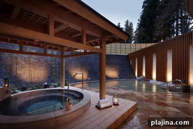 Welcome to Lotte Arai Resort — Ski, Spa & Mountain Retreat 4 Lotte Arai Resort
