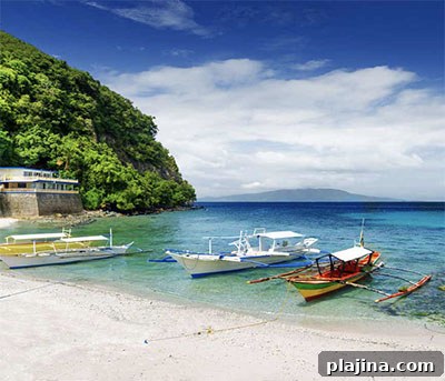 Mindoro Island