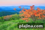 img 83679 15