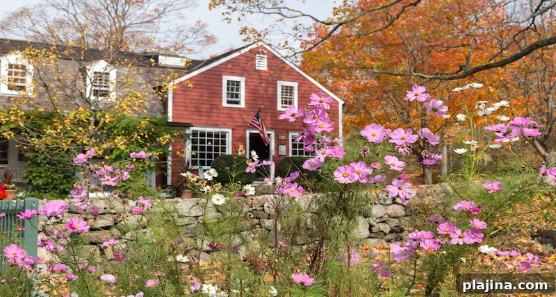 Connecticut in the Sping