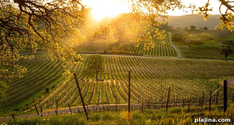 California in the spring