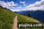 7 Must-See Canadian Cities for Your Next Trip 16 img 83815 15