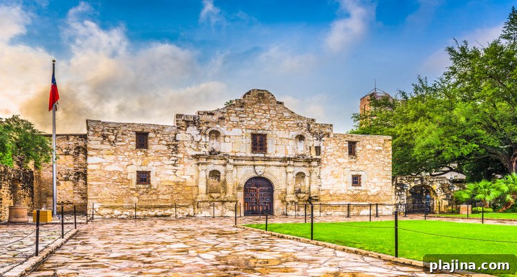Alamo