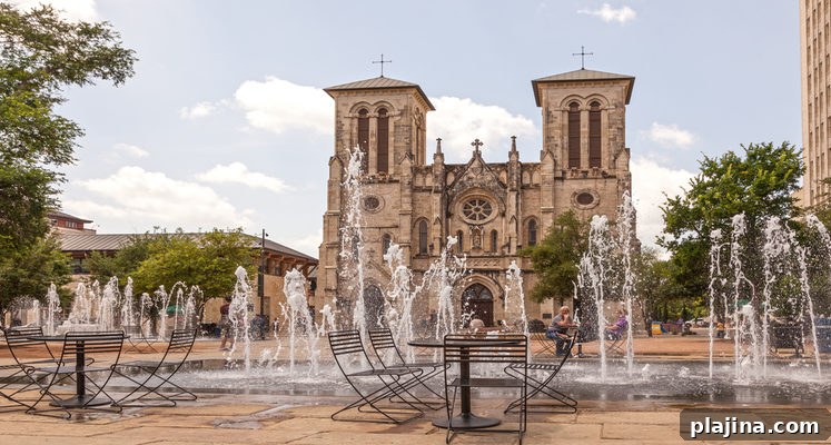 Cathedral of San Fernando