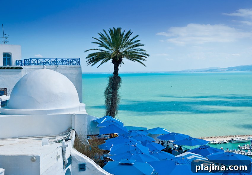 Sidi Bou Said, Tunis