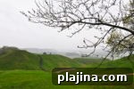 7 Top Places to Celebrate the Baltics’ 100th Anniversary 15 img 84130 14
