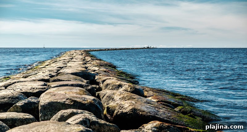 Pärnu