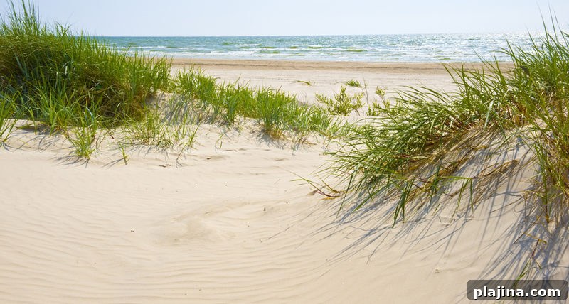Jūrmala