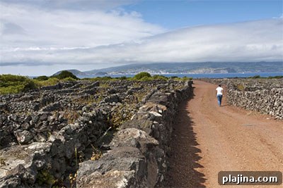 Vineyard stone corrals on Pico, built to protect the grapes from wind and sea salt, earned UNESCO World Heritage status