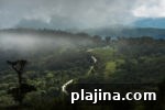 img 84658 13