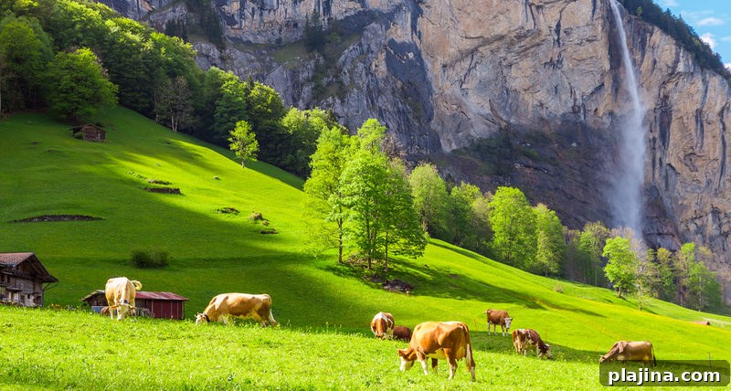 Switzerland