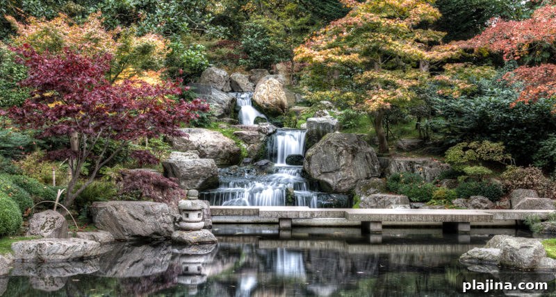 Kyoto Garden