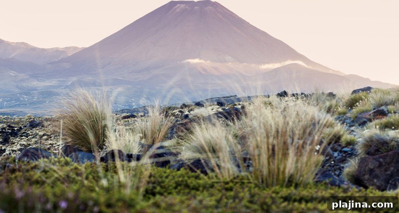 Tongariro National Park