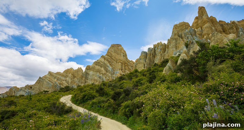 Clay Cliffs of Omarama