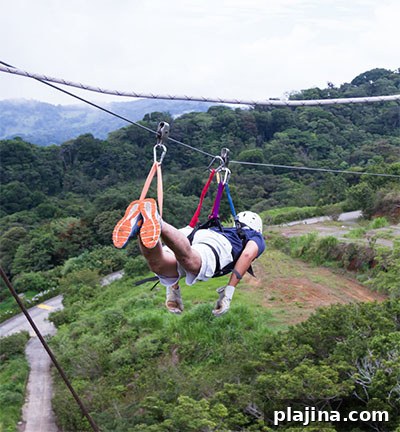 Zip lining through the canopy