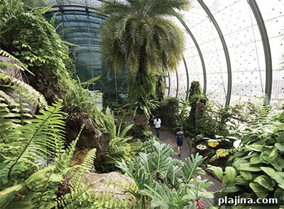 Changi Airport butterfly garden