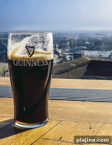 Pint of beer and view from Gravity Bar