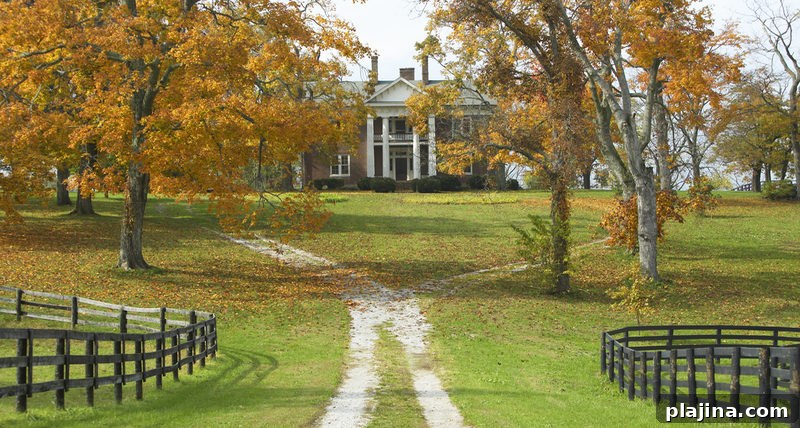 Lexington
