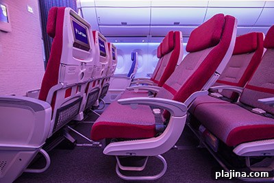 Cozy Cabin Essentials: Comfort Tips and Must-Have Gear 3 LATAM