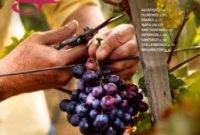 August 2018 Magazine Cover Reveal
