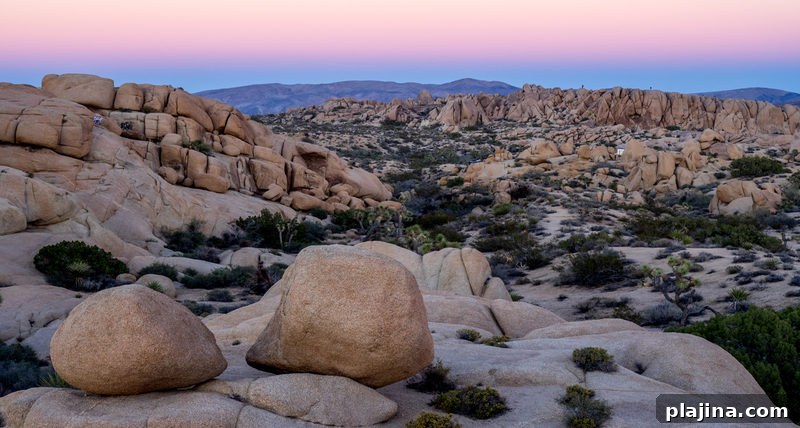 Joshua Tree National Park