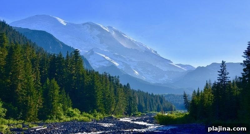 White River Campground