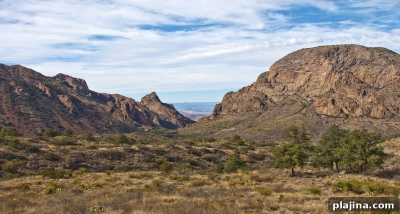 Big Bend National Park