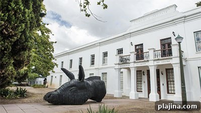 Art Institute in Stellenbosch Old Town