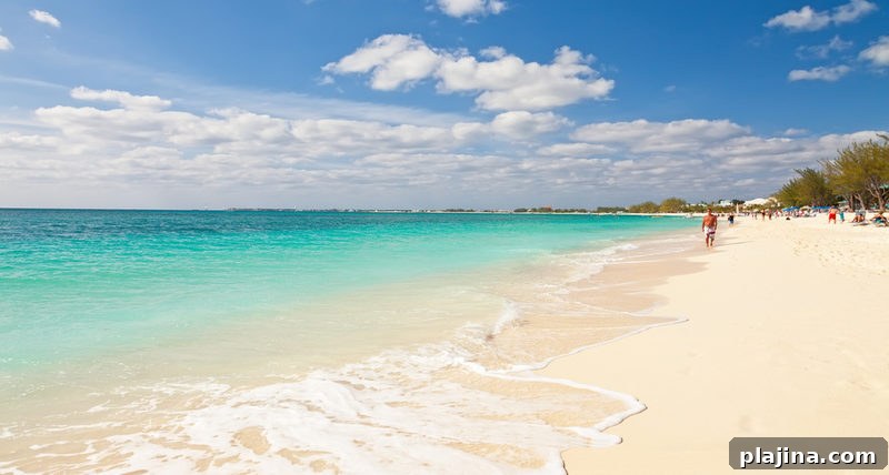Caribbean