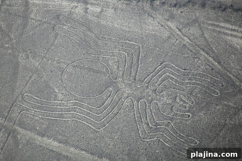 Aerial view of Nazca Lines - Spider geoglyph, Peru