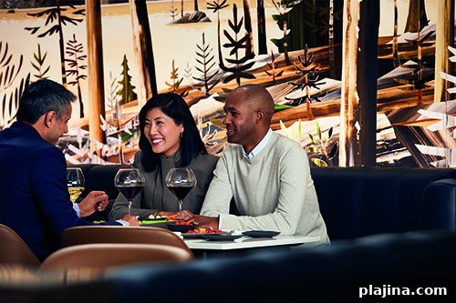 Experience Luxury In-Flight: Upgrade Your Flight Today 2 © Air Canada