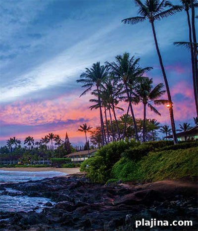 Napili Bay
