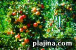 img 89941 11