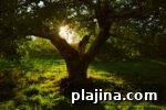 img 89941 12