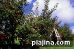 img 89941 15
