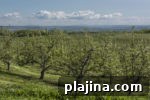 img 89941 16