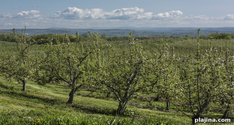Fishkill Farms