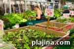 Top Cities for Vegetarian Food Lovers: 7 Must-Visit Destinations 9 thumb8