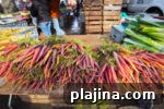 Top Cities for Vegetarian Food Lovers: 7 Must-Visit Destinations 2 thumb1